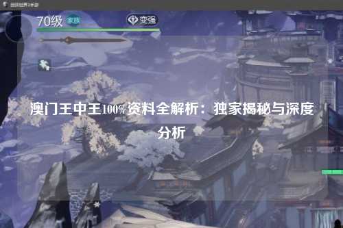 澳门王中王100%资料全解析：独家揭秘与深度分析