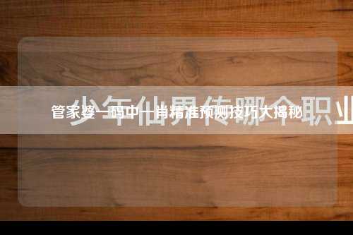 管家婆一码中一肖精准预测技巧大揭秘