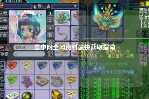 喜中网全网资料最快获取指南