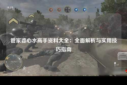 管家婆心水高手资料大全：全面解析与实用技巧指南