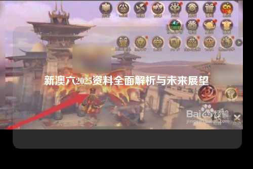 新澳六2025资料全面解析与未来展望