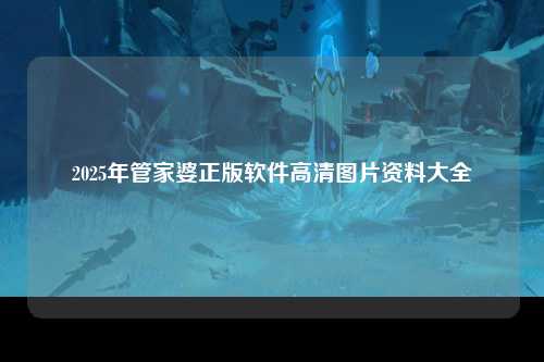 2025年管家婆正版软件高清图片资料大全