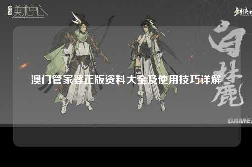 澳门管家婆正版资料大全及使用技巧详解