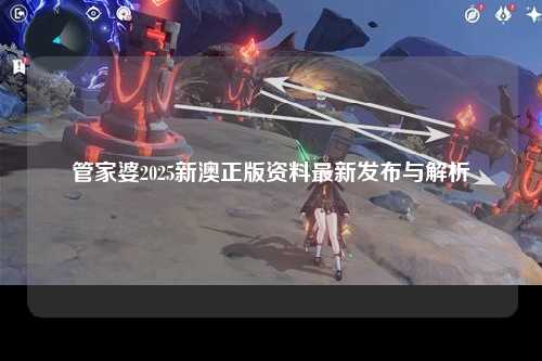 管家婆2025新澳正版资料最新发布与解析