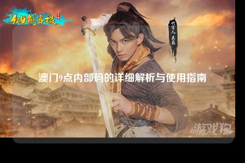 澳门9点内部码的详细解析与使用指南