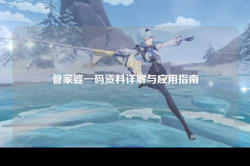 管家婆一码资料详解与应用指南