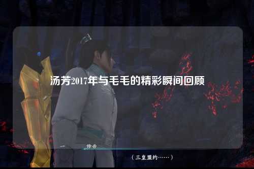汤芳2017年与毛毛的精彩瞬间回顾