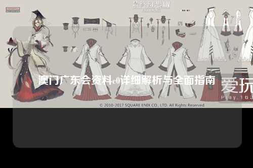 澳门广东会资料c0详细解析与全面指南
