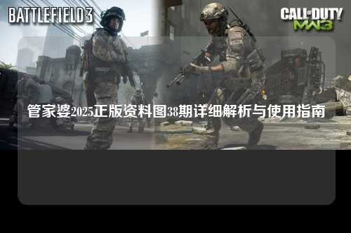 管家婆2025正版资料图38期详细解析与使用指南