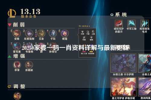 20250家婆一码一肖资料详解与最新更新