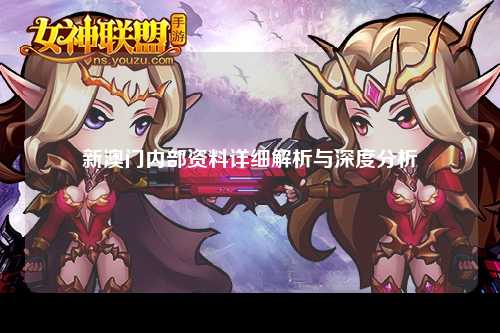 新澳门内部资料详细解析与深度分析