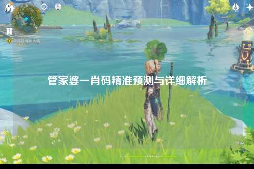 管家婆一肖码精准预测与详细解析
