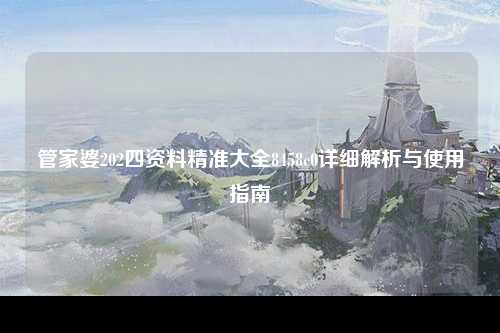 管家婆202四资料精准大全8458c0详细解析与使用指南