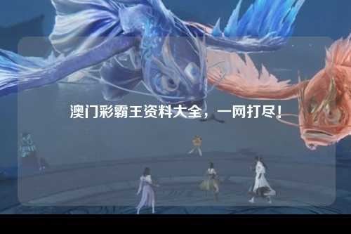 澳门彩霸王资料大全，一网打尽！